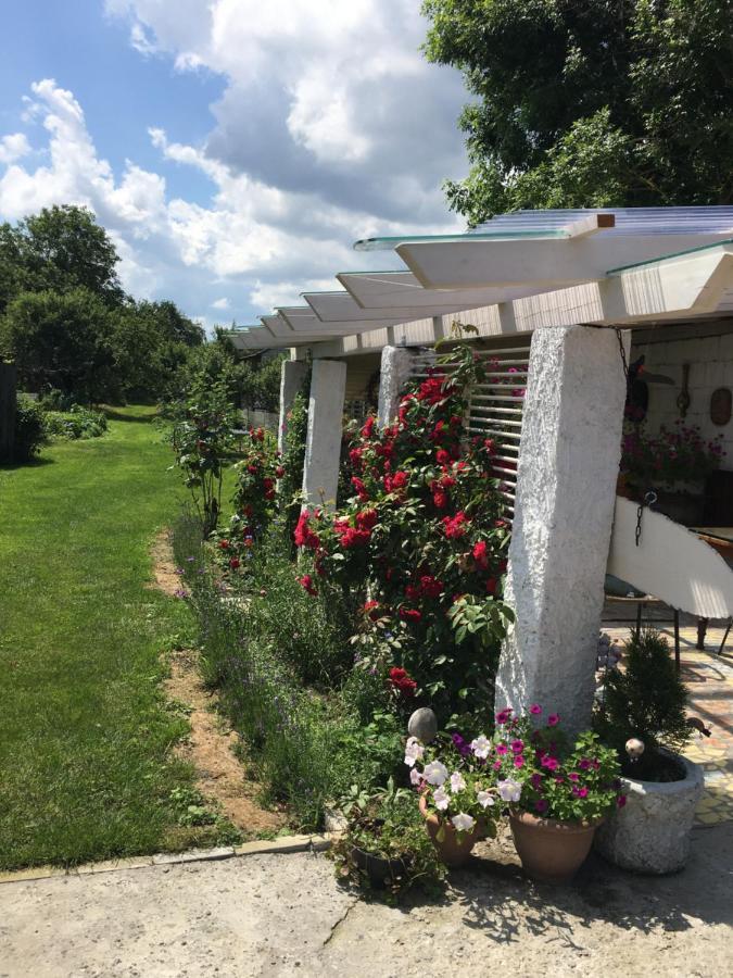 Agroturystyka "Pod Bluszczem" Krasnobród Dış mekan fotoğraf