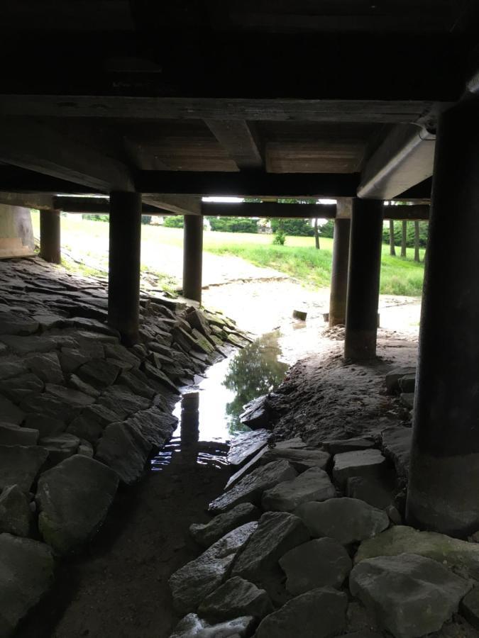 Agroturystyka "Pod Bluszczem" Krasnobród Dış mekan fotoğraf