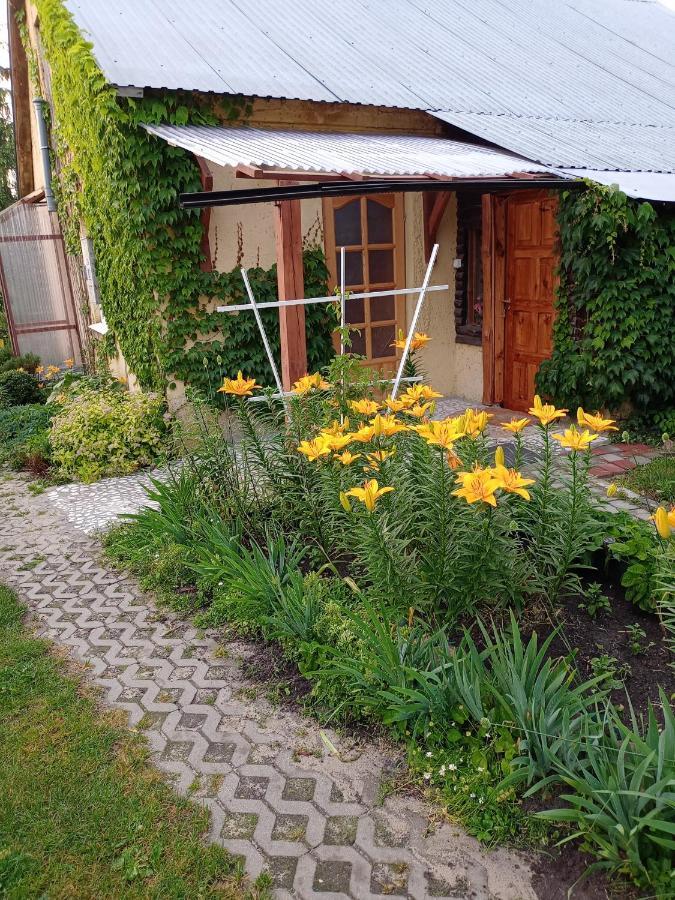 Agroturystyka "Pod Bluszczem" Krasnobród Dış mekan fotoğraf