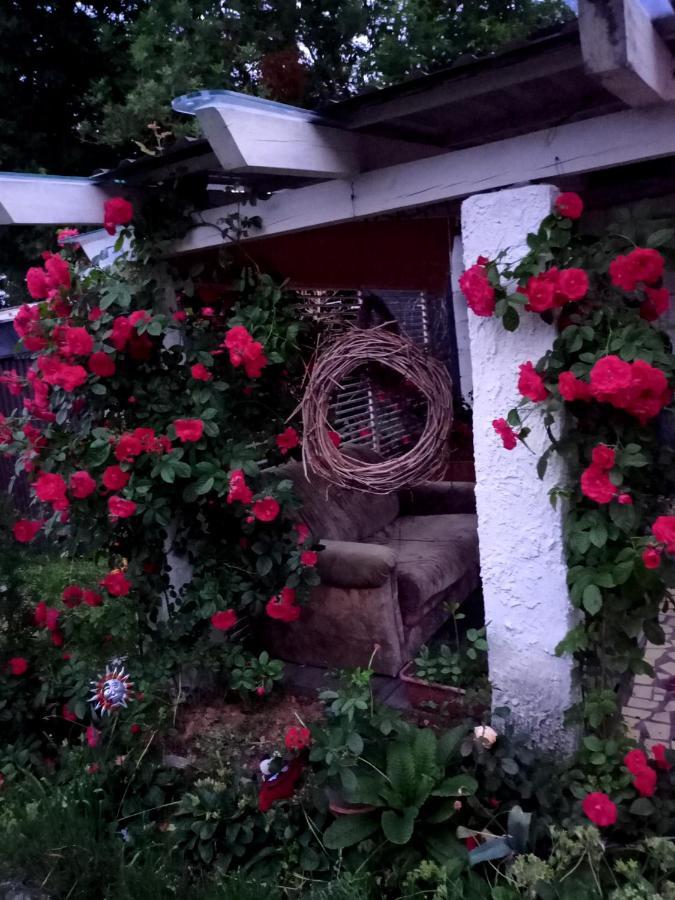 Agroturystyka "Pod Bluszczem" Krasnobród Dış mekan fotoğraf
