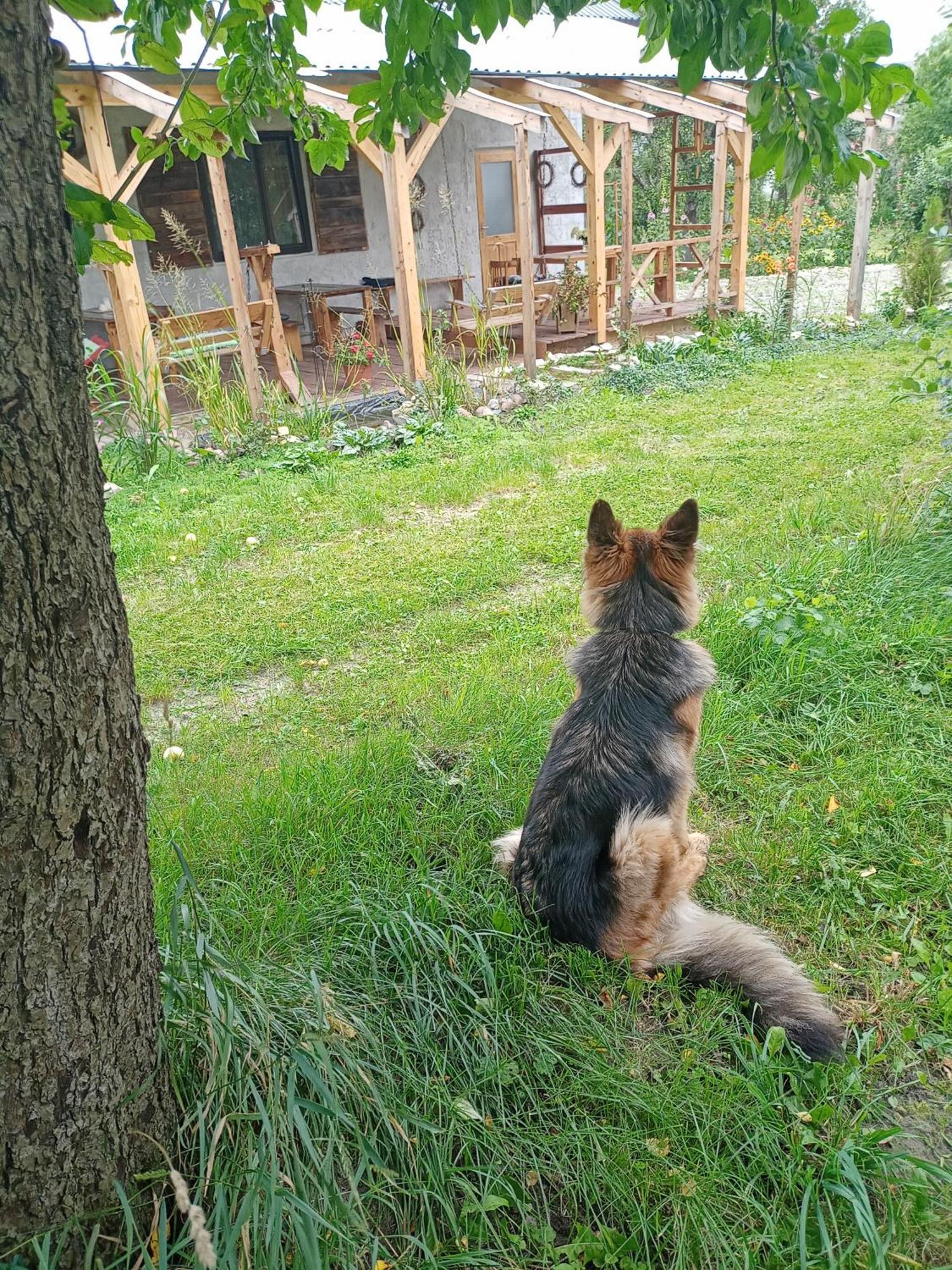 Agroturystyka "Pod Bluszczem" Krasnobród Dış mekan fotoğraf