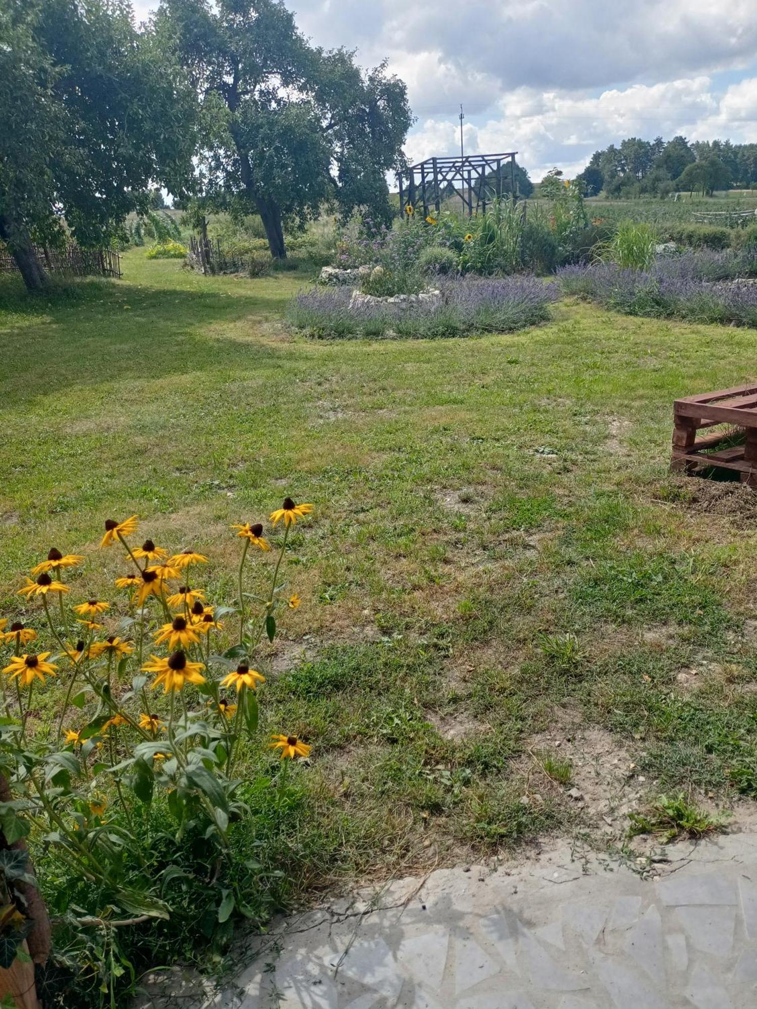 Agroturystyka "Pod Bluszczem" Krasnobród Dış mekan fotoğraf