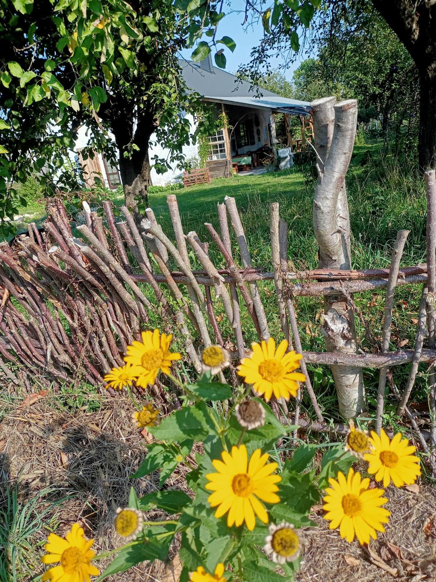 Agroturystyka "Pod Bluszczem" Krasnobród Dış mekan fotoğraf